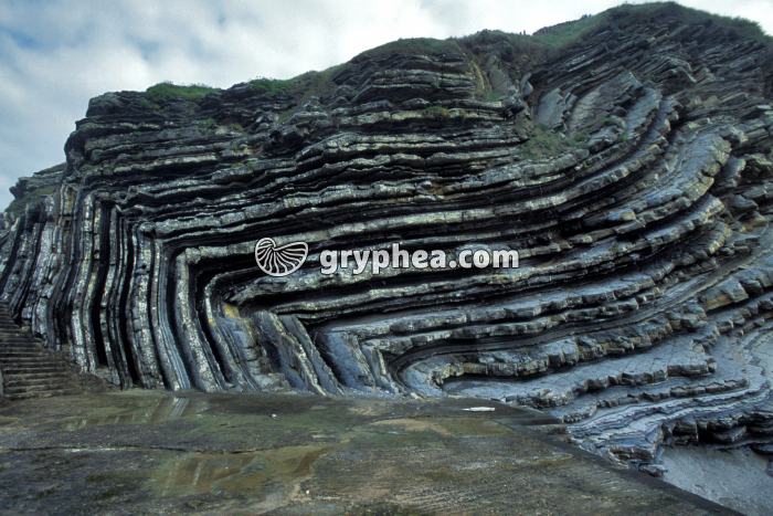 Plis dans les flyschs de la Pointe Sainte-Barbe (Saint-Jean de Luz, pays basque) - gryphea.org